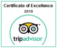 Trip Advisor
